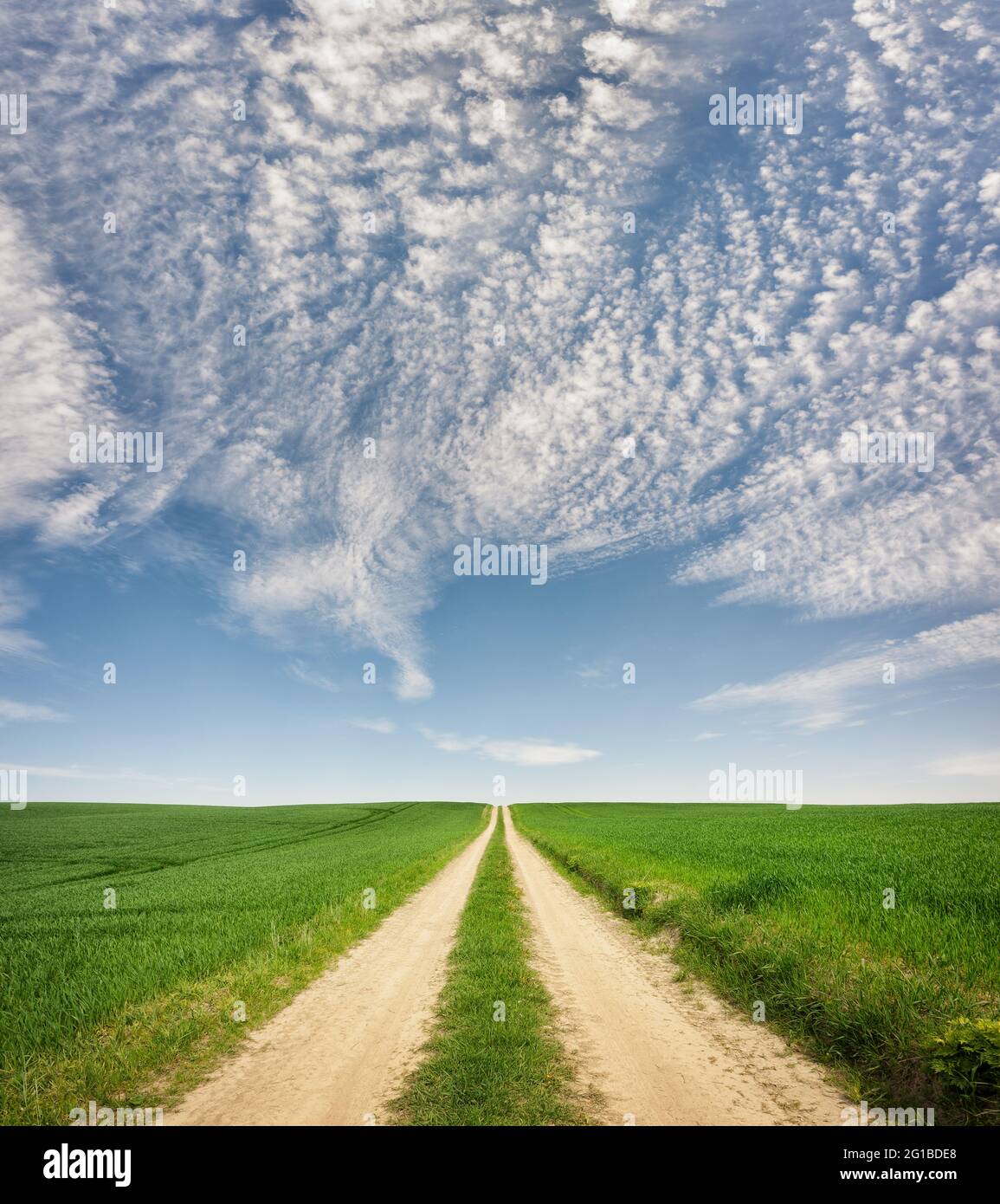 Rural road green grass in hi-res stock photography and images - Alamy