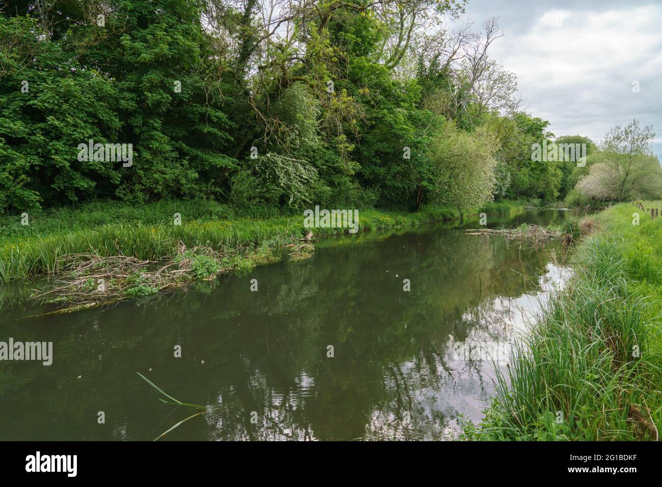 Wiltshire Rivers a scenic view along the world heritage site river avon in Wiltshire ...