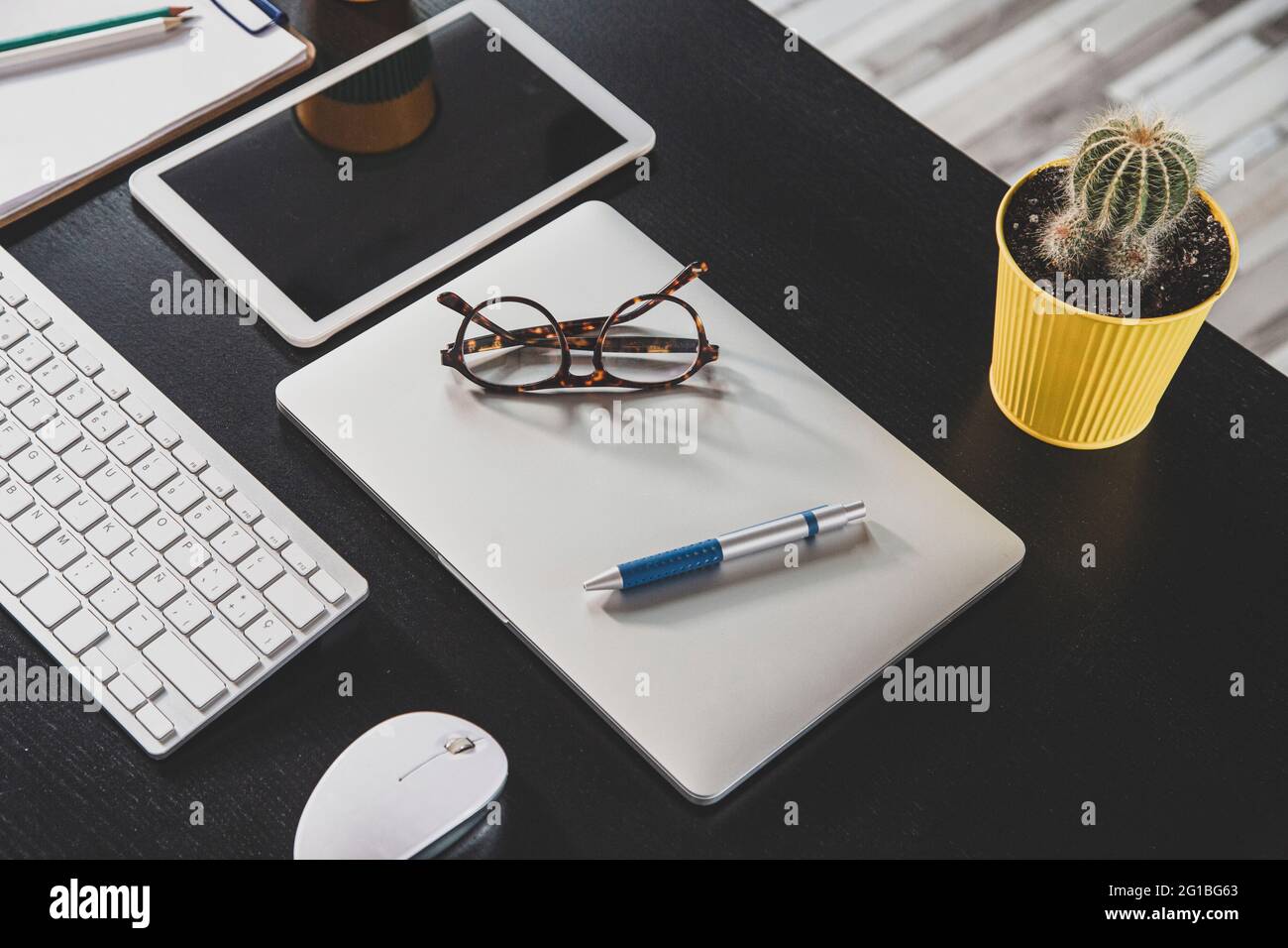 From above of netbook with eyeglasses and pen between potted cactus and mouse on desk in workspace Stock Photo