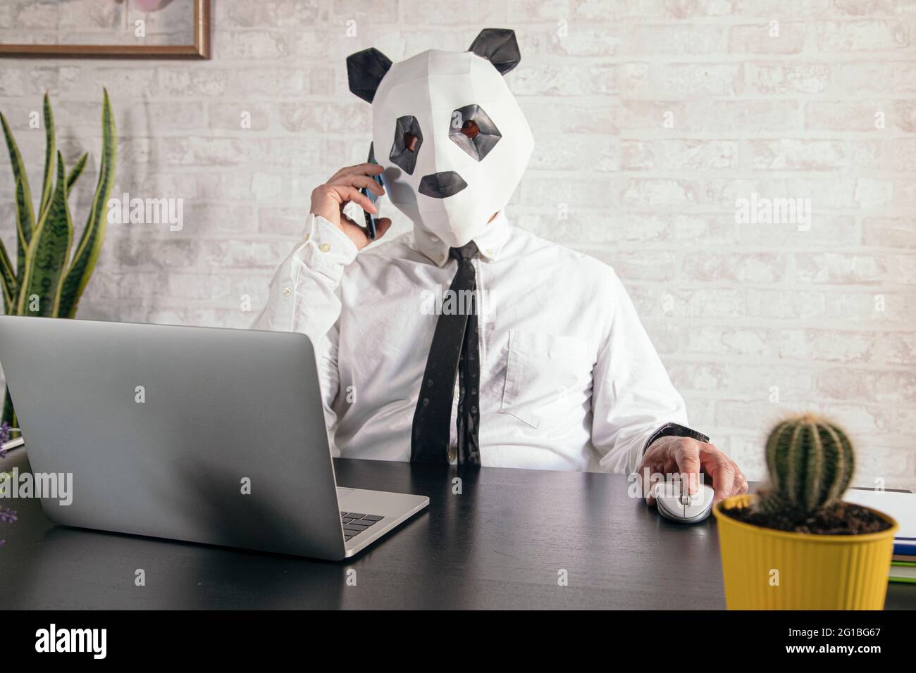 Unrecognizable male entrepreneur in panda bear mask speaking on cellphone against netbook during telework at desk Stock Photo