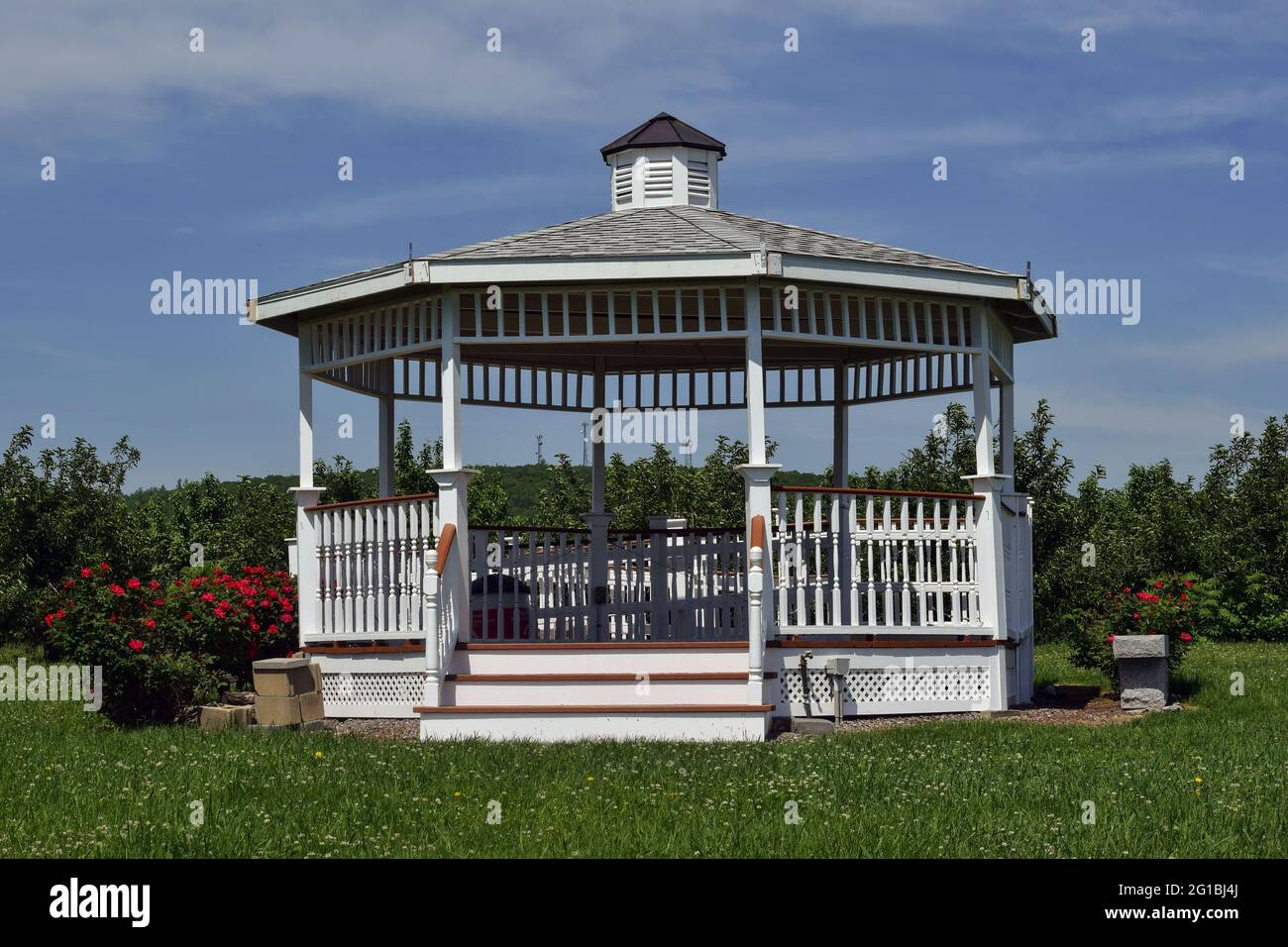 a gazebo in the middle of an apple ochard located at sholan farms in leominster nass Stock Photo