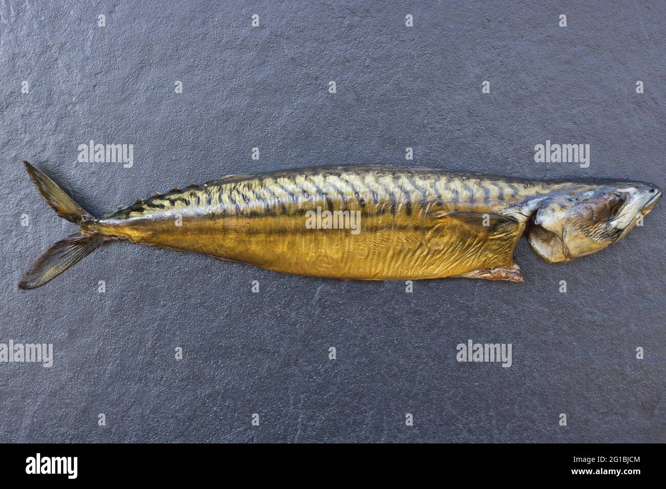 Atlantic mackerel (Scomber scombrus) Stock Photo