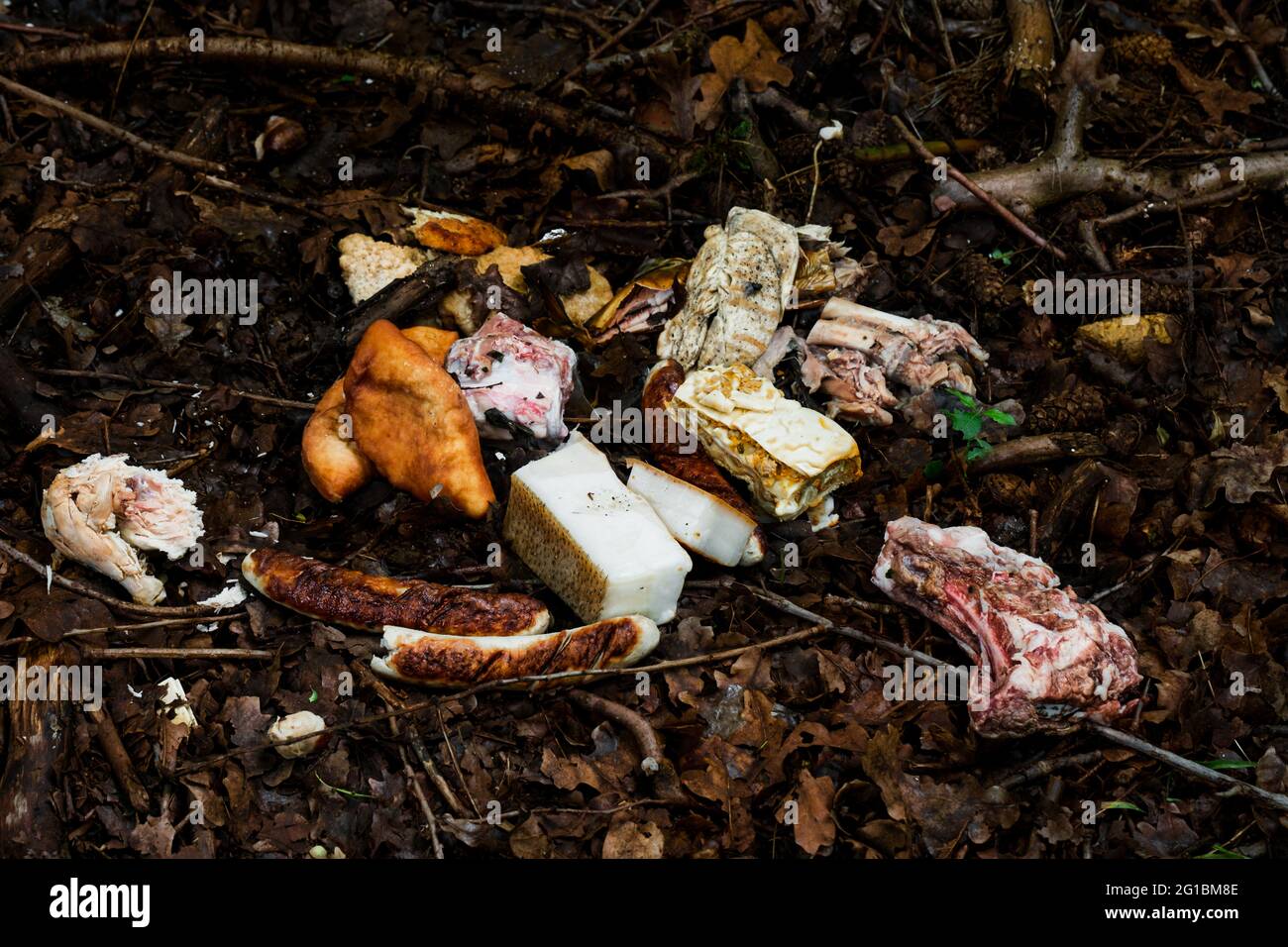 rotten food thrown in the woods Stock Photo