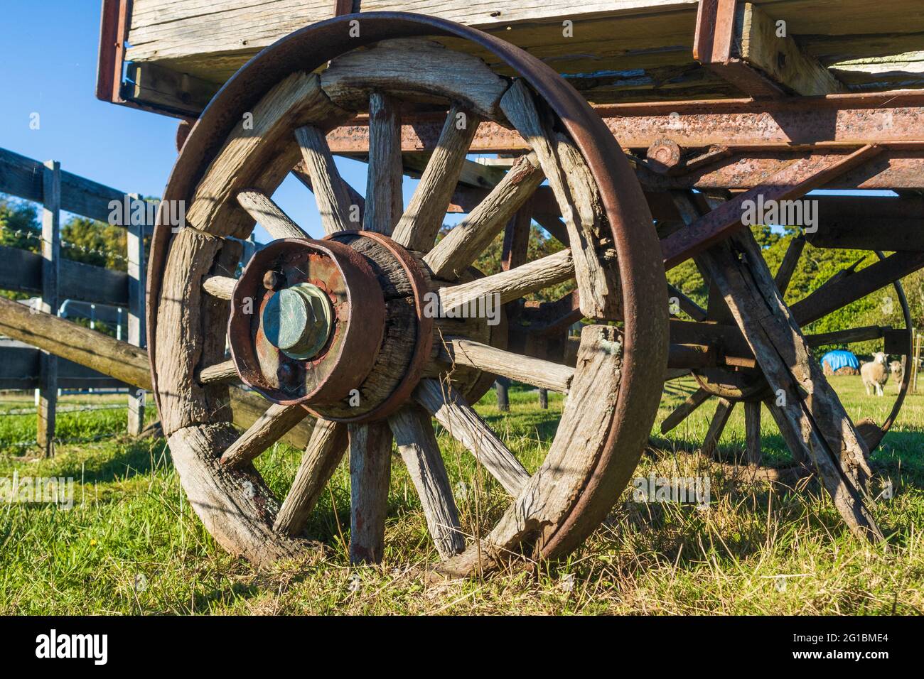 A vintage cart wheel on a old farm cart Stock Photo Alamy