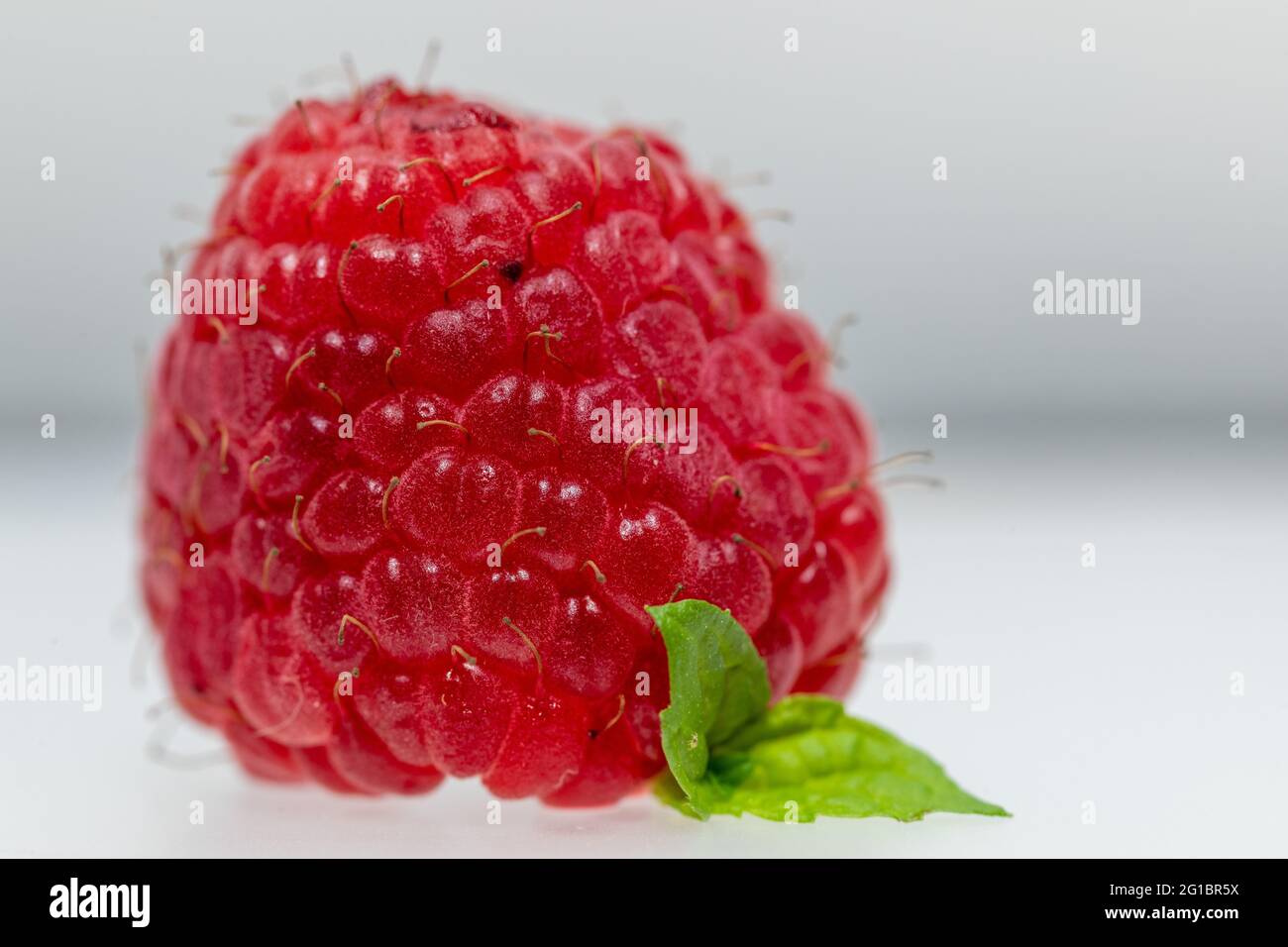 macro close up of a raspberry fruit on a white background Stock Photo
