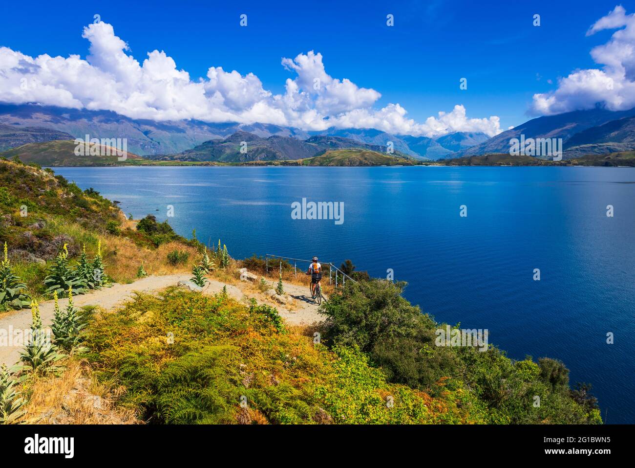 Cycling the shore of Lake Wanaka, Otago, South Island, New Zealand ...