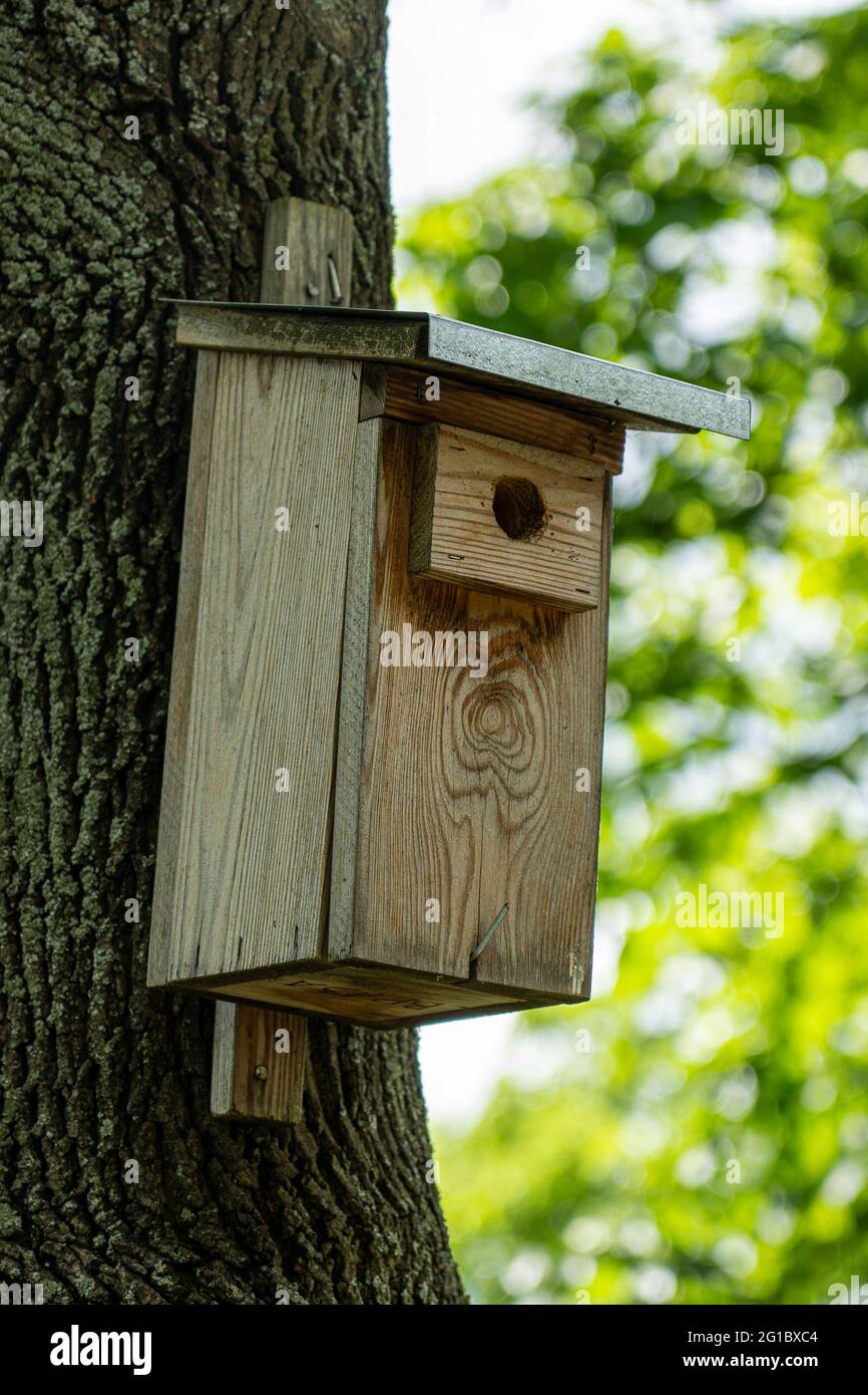 Bird booth in Park Obwodu Praga Armii Krajowej in Warsaw (Poland) Stock Photo