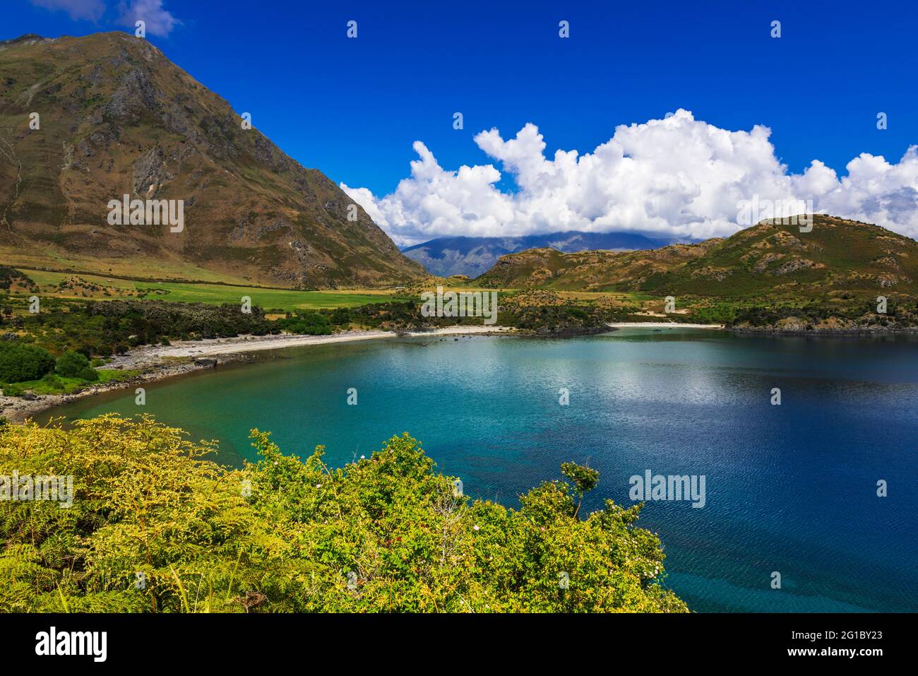 Lake Wanaka, Otago, South Island, New Zealand Stock Photo - Alamy