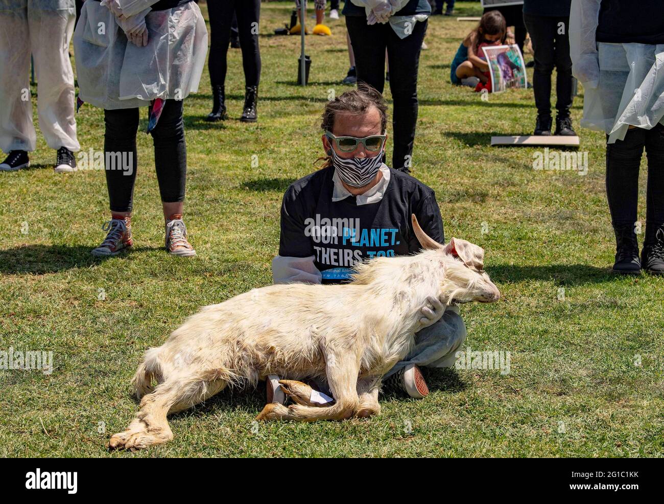Los Angeles, USA. 6th June, 2021. People gather at Pan Pacific Park for the  11th Annual National Animal Rights Day. 06th June, 2021. The day highlights  the need to give a voice