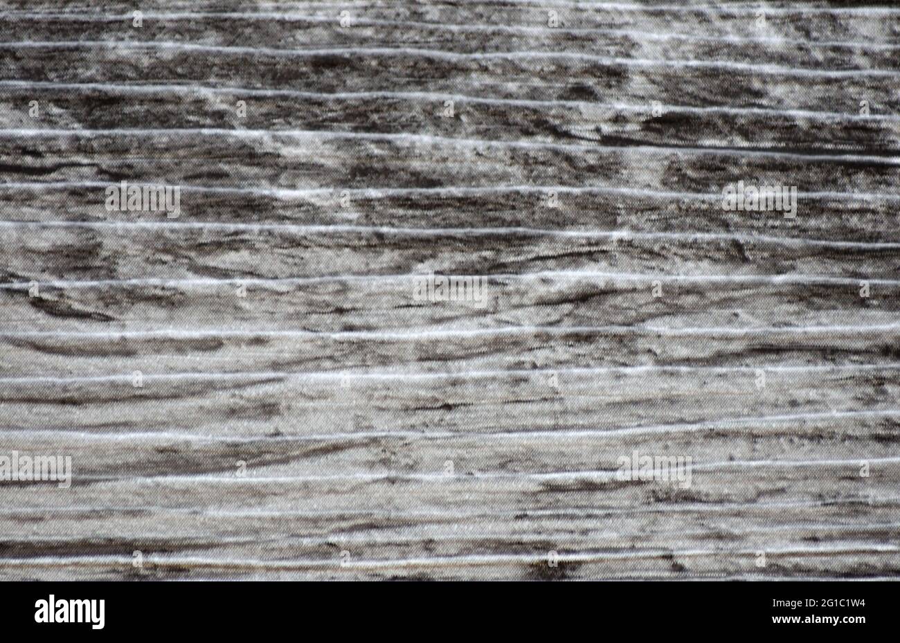 Lightened black oak surface, closeup of natural dark wood. Background