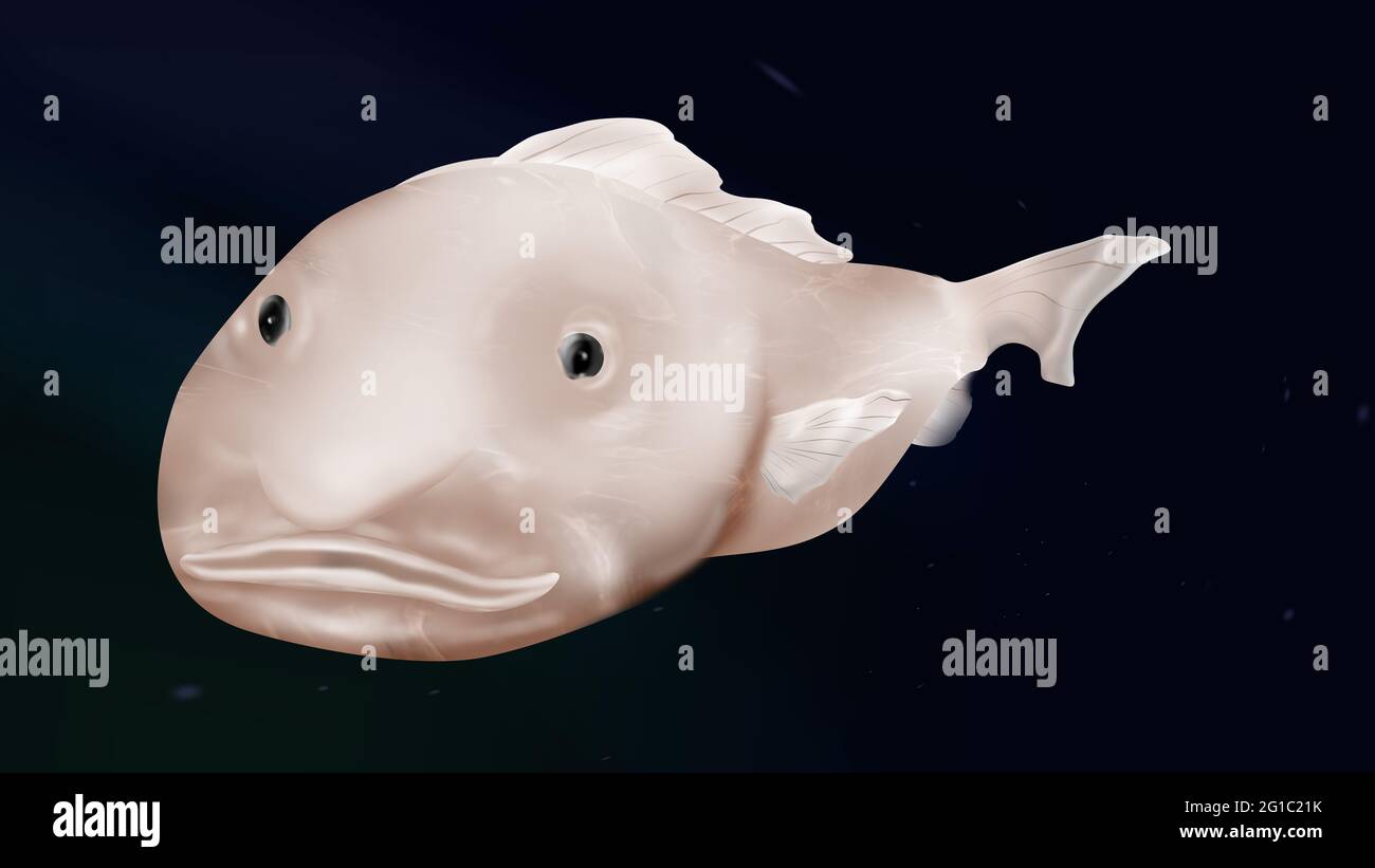 Blob Fish Stock Illustration - Download Image Now - Fish, Blob, Ugliness -  iStock