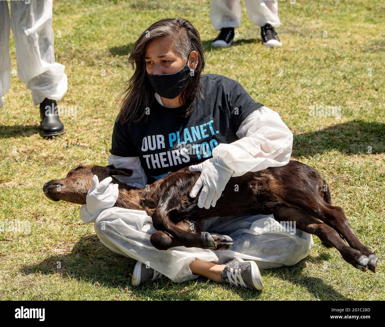 People gather at Pan Pacific Park for the 11th Annual National Animal Rights Day. 06th June, 2021. The day highlights the need to give a voice to all animals and raise awareness People gather at Pan Pacific Park for the 11th Annual National Animal Rights Day. 06th June, 2021. The day highlights the need to give a voice to all animals and raise awareness