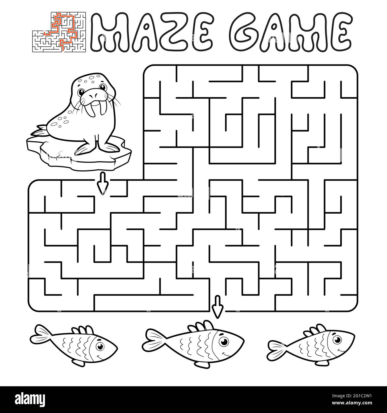 https://c8.alamy.com/comp/2G1C2W1/maze-puzzle-game-for-children-outline-maze-or-labyrinth-game-with-walrus-vector-illustrations-2G1C2W1.jpg