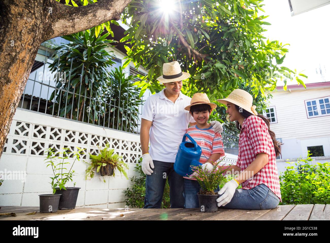 Father and mother with son watering plant flower tree in the garden at ...