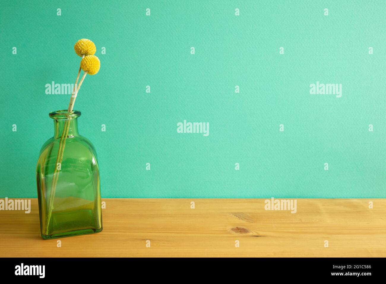 Vase of yellow Craspedia dry flowers on wooden table. mint green wall background Stock Photo