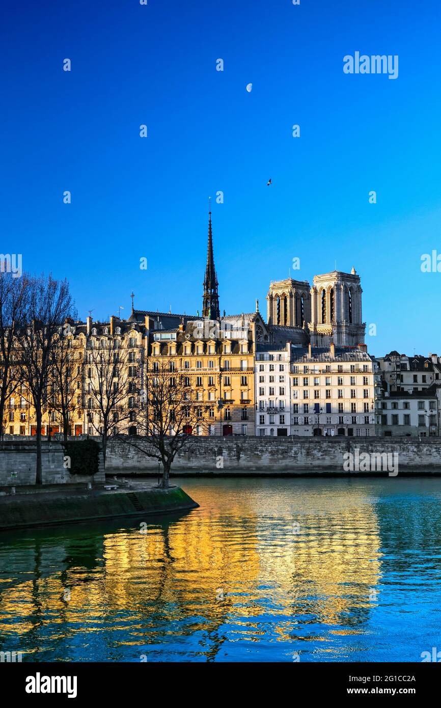 Notre Dame Und Der Quai Aux Fleurs Vom Apfelmarkt Aus Gesehen Pierre Louis Moreau main image 1