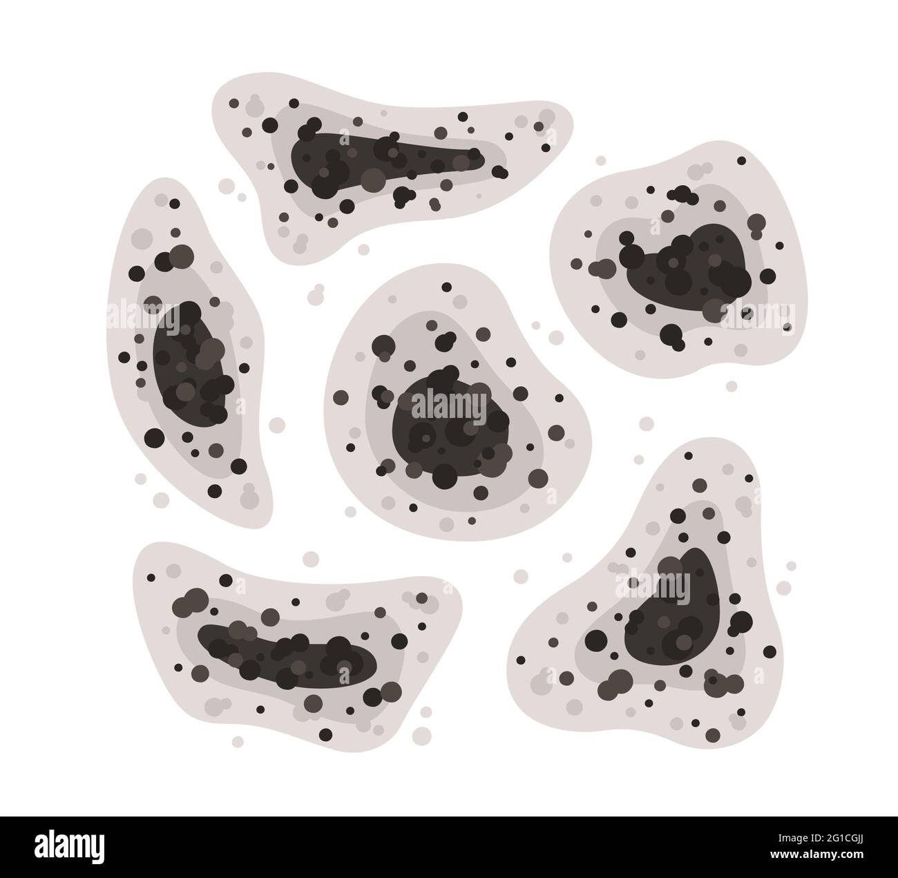 Black mold spots of different shapes. Toxic mold spores. Fungi and bacteria. Stains on the house wall. Isolated vector illustration on white Stock Vector