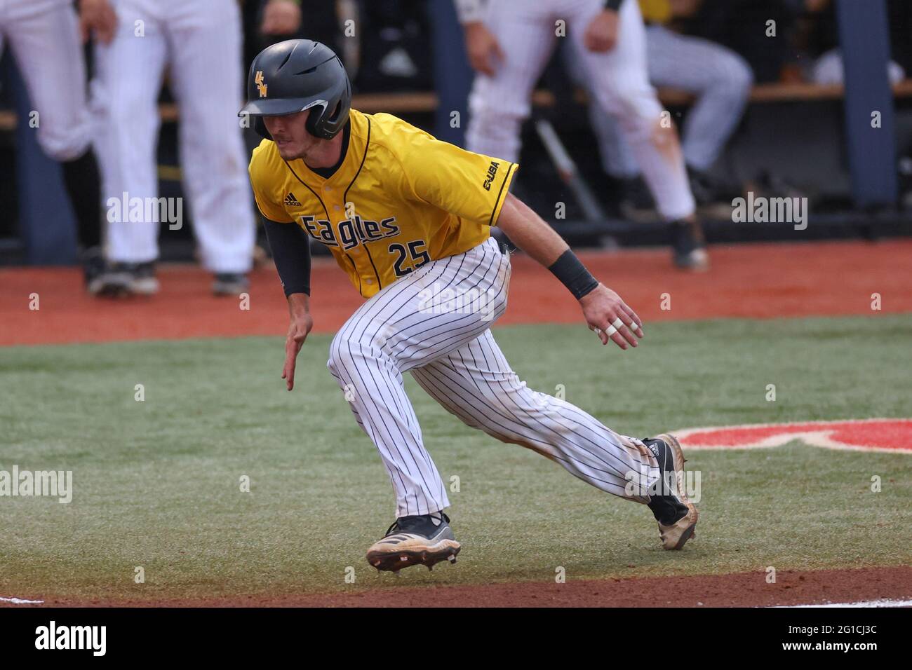 June 06, 2021 Southern Miss catcher Blake Johnson (25) sets up for a