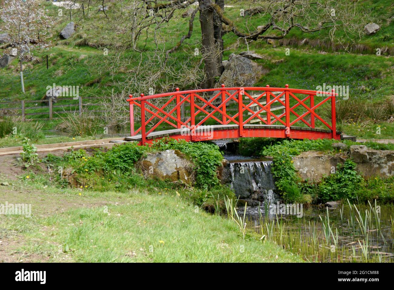 Wooden Red Bridge over Beck Flowing into the Sunshine Lake at the Himalayan Garden & Sculpture Park, Grewelthorpe, Ripon, North Yorkshire, England, UK Stock Photo