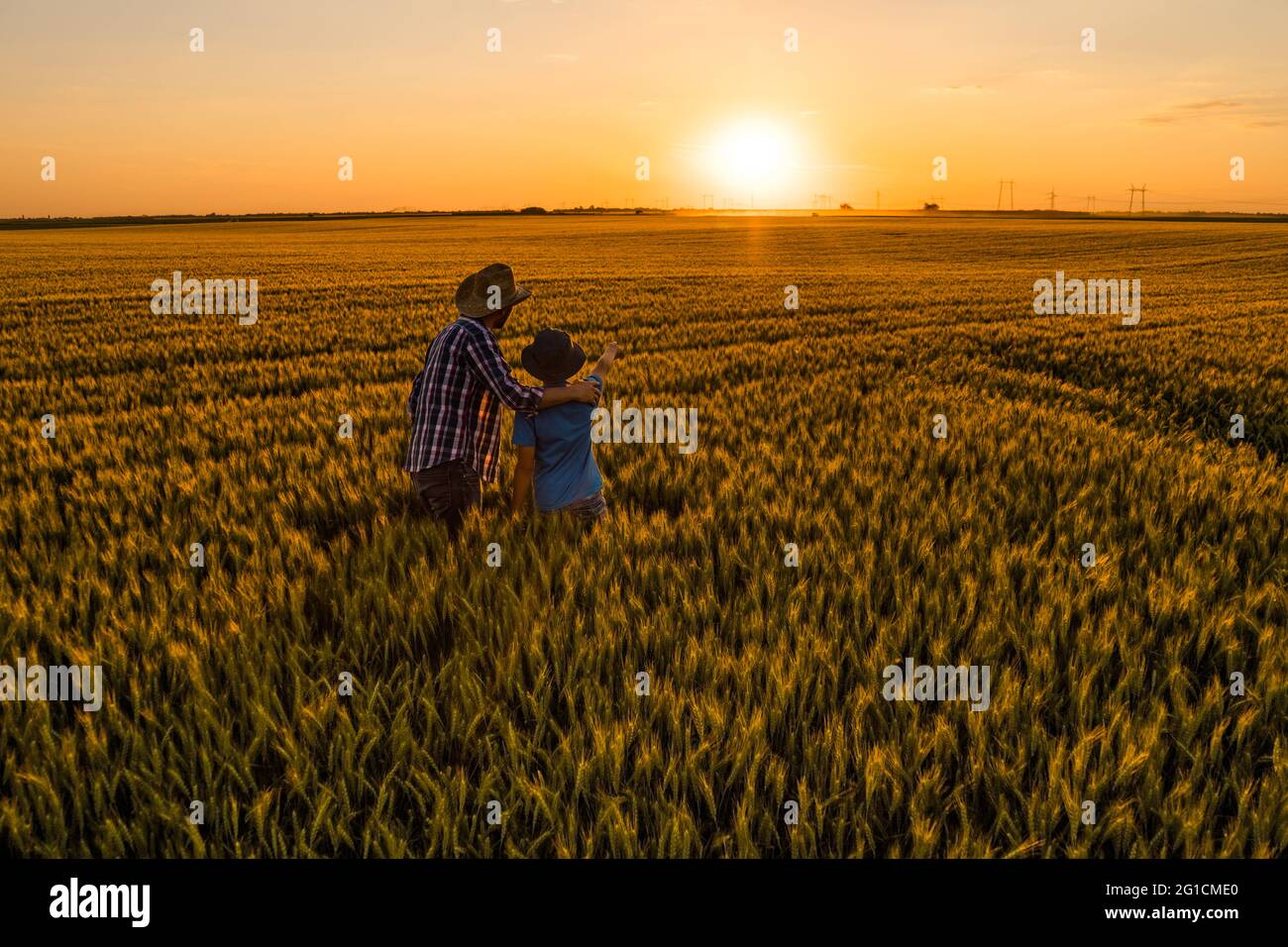 Father and son are standing in their growing wheat field. They are happy because of successful sowing and enjoying sunset. Stock Photo