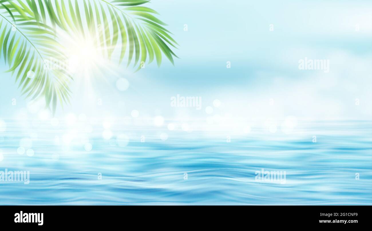 Summer seascape. The rays of the sun and the leaves of the palm tree on the background of the seascape. Sun rays blurred bokeh effect. Vector Stock Vector