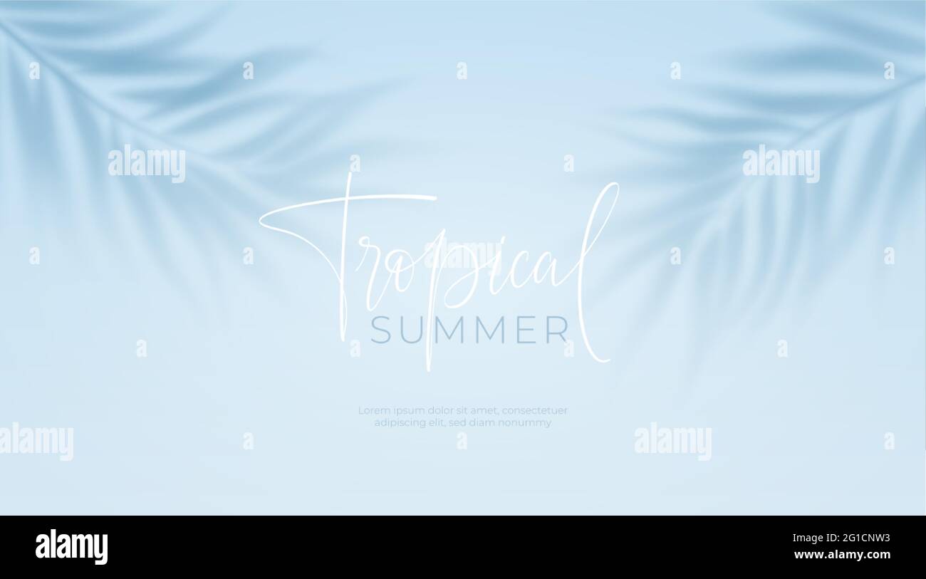 Realistic transparent shadow from a leaf of a palm tree on the blue background. Tropical leaves shadow. Mockup with palm leaves shadow. Vector Stock Vector