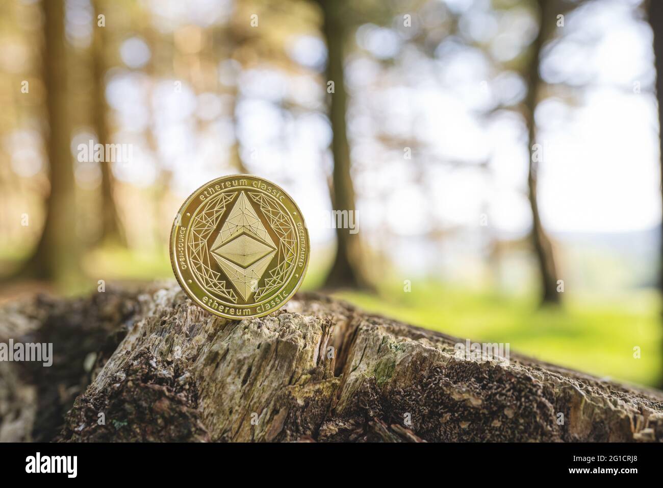 Close-up of Ethereum on a tree stump outdoor with green natural blurred  forest background with copy space. Single gold ETH cryptocurrency coin.  Enviro Stock Photo - Alamy