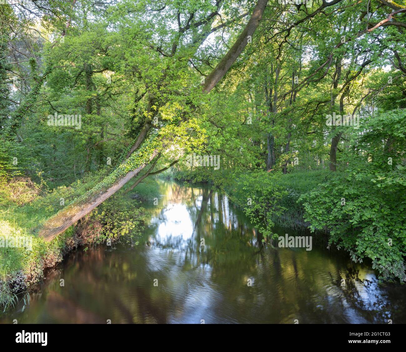 river Dinkel near village of Losser in part of dutch province of overijssel called Twente Stock Photo