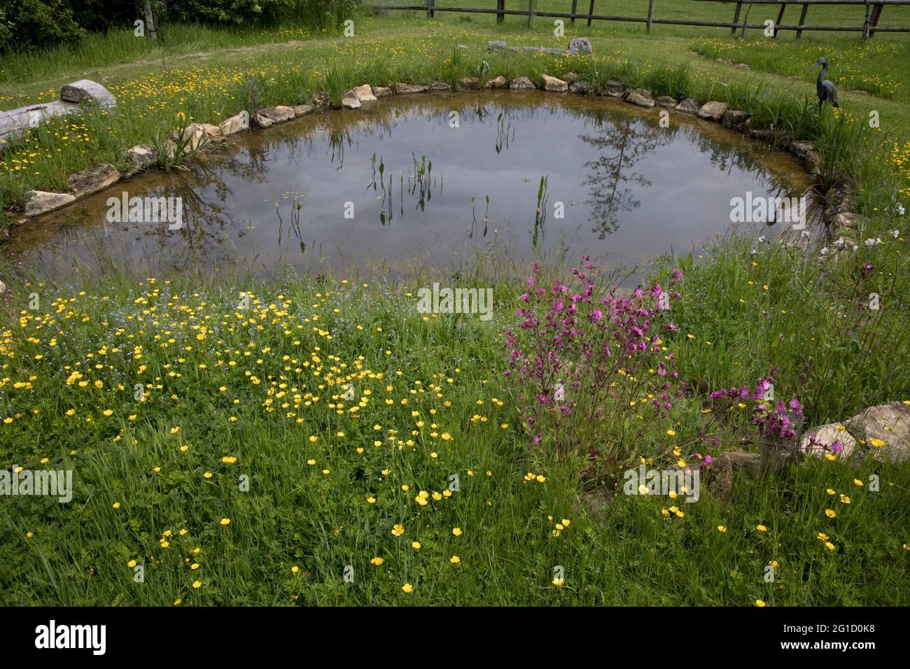 Large natural-looking man-made pond surrounded by wildflowers in grounds of ecohouse Mickleton Chipping Campden UK Stock Photo