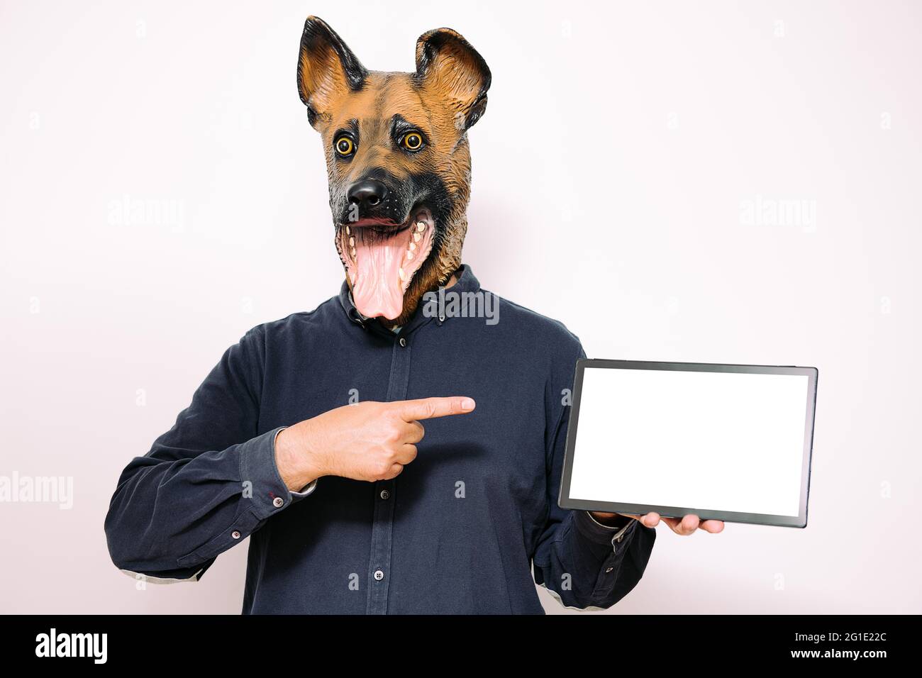 Page 3 - Dog Mask High Resolution Stock Photography and Images - Alamy