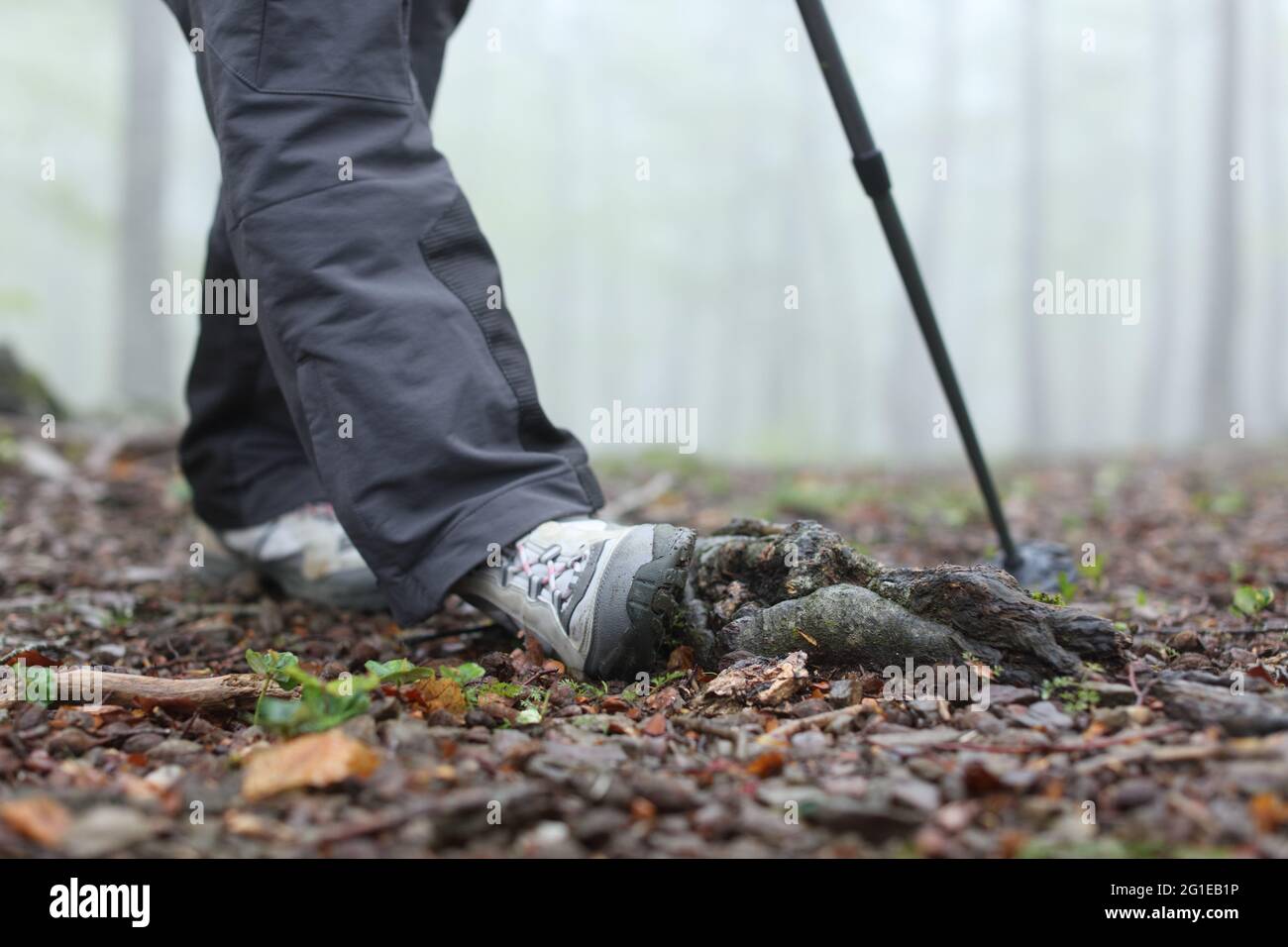 Close up of a trekker legs spraining ankle walking in a forest Stock Photo