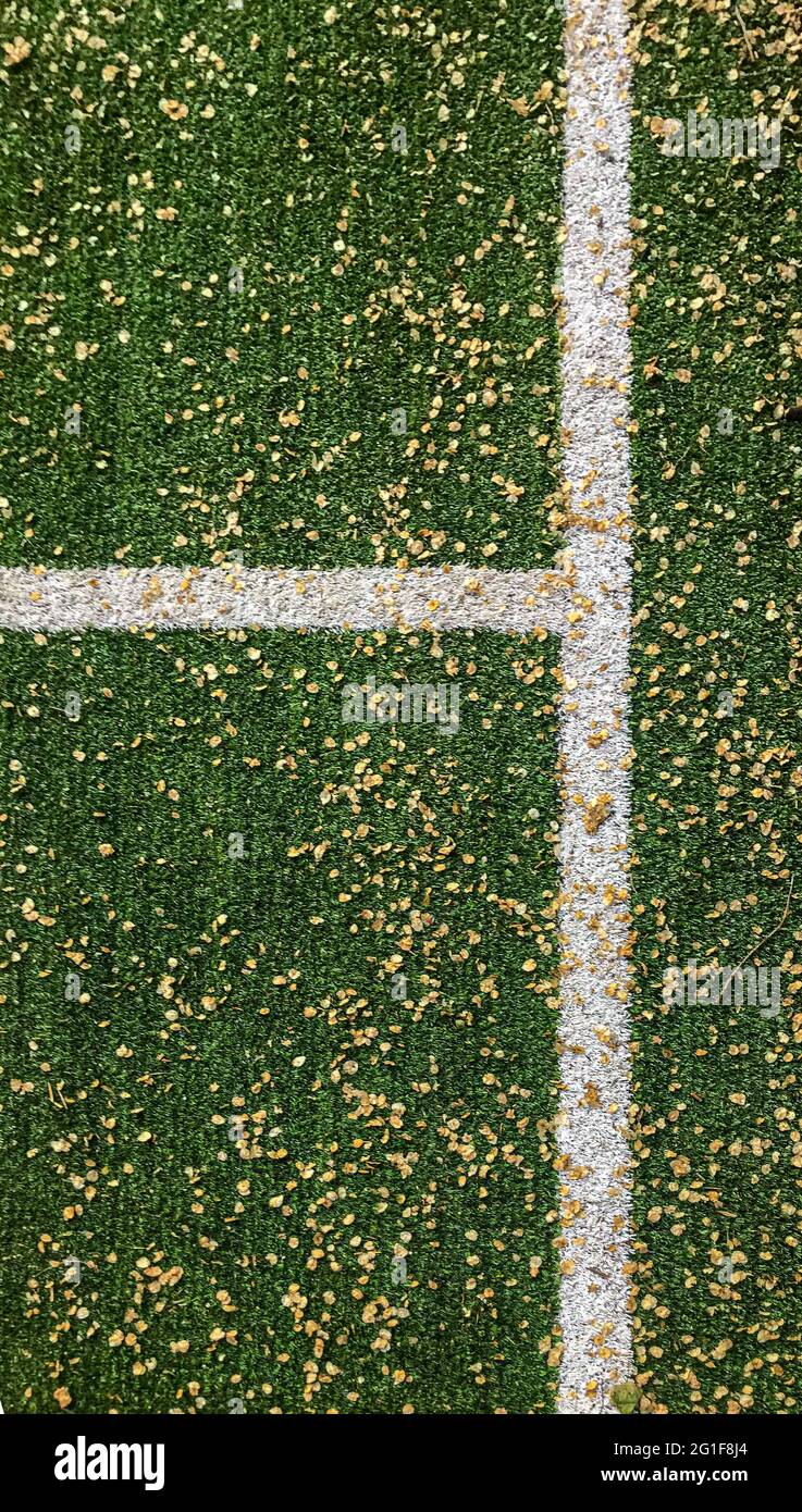 The grass cover of the stadium in the foliage. Autumn coverage of the stadium. Stock Photo