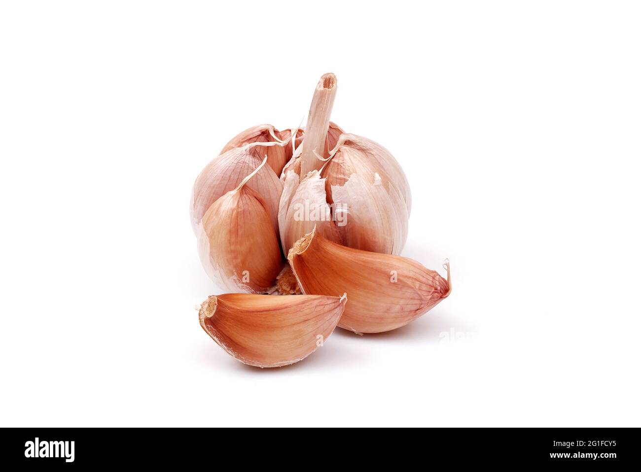 garlic bulb and cloves isolated on white background, full depth of field Stock Photo