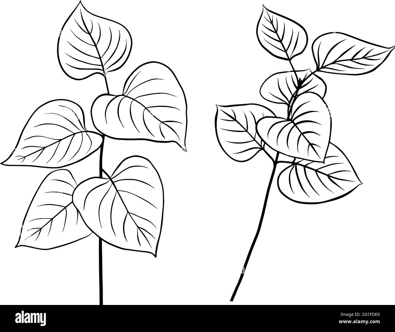 Cliparts hires stock photography and images Alamy