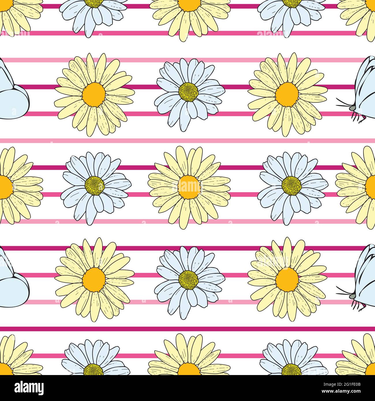 Vector white background daisy flowers, wild flowers and butterflies ...
