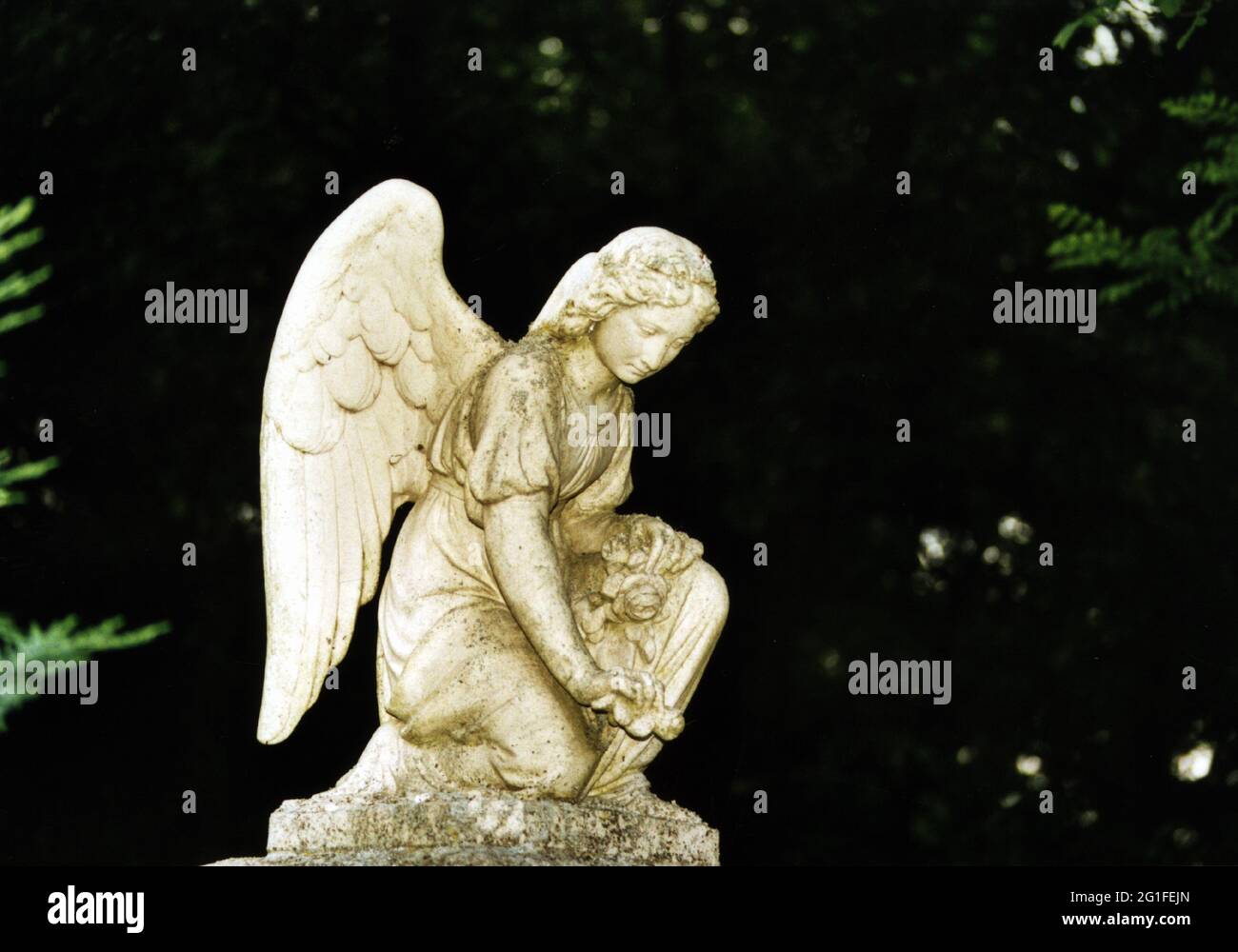 death, cemetery, gravestones, detail, angel, Nordfriedhof (Northern cemetery), Munich, Germany, ADDITIONAL-RIGHTS-CLEARANCE-INFO-NOT-AVAILABLE Stock Photo