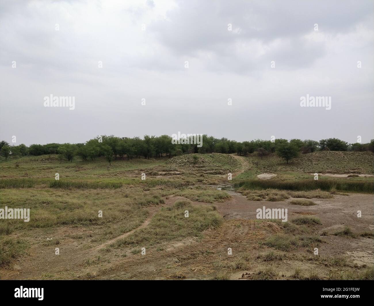Closeup shot of an agricultural landscape on a cloudy day Stock Photo ...