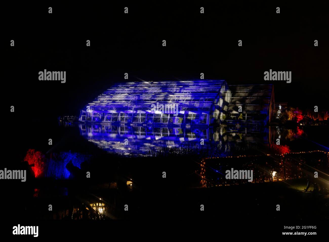 Coloured lights illuminate the Glasshouse at night at Glow 2020, the