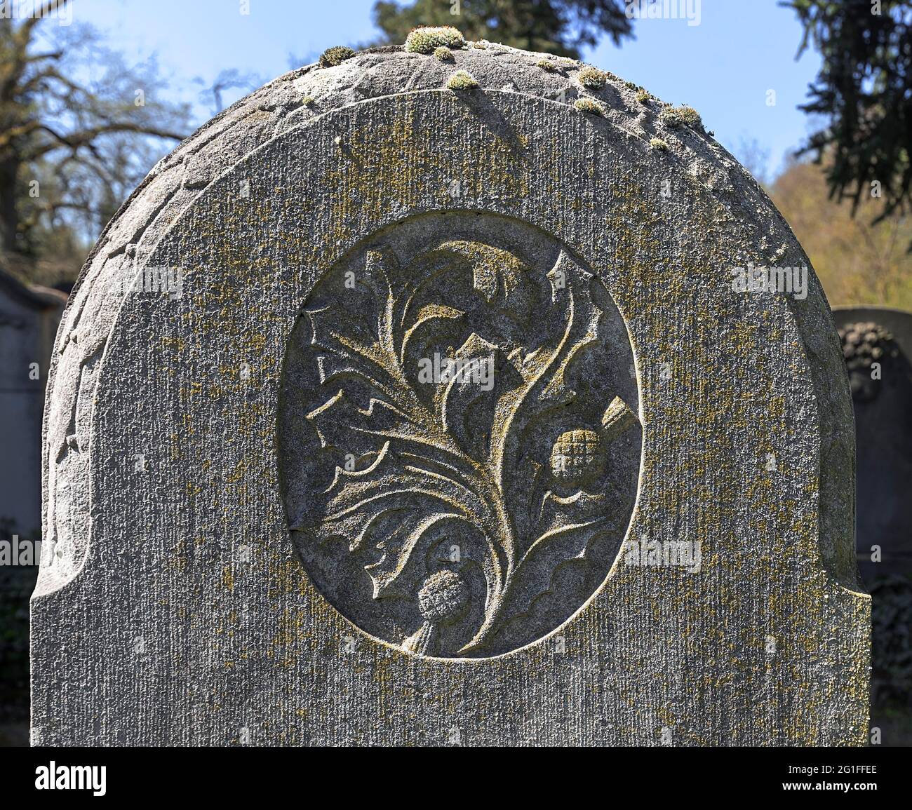 Stillized hires stock photography and images Alamy