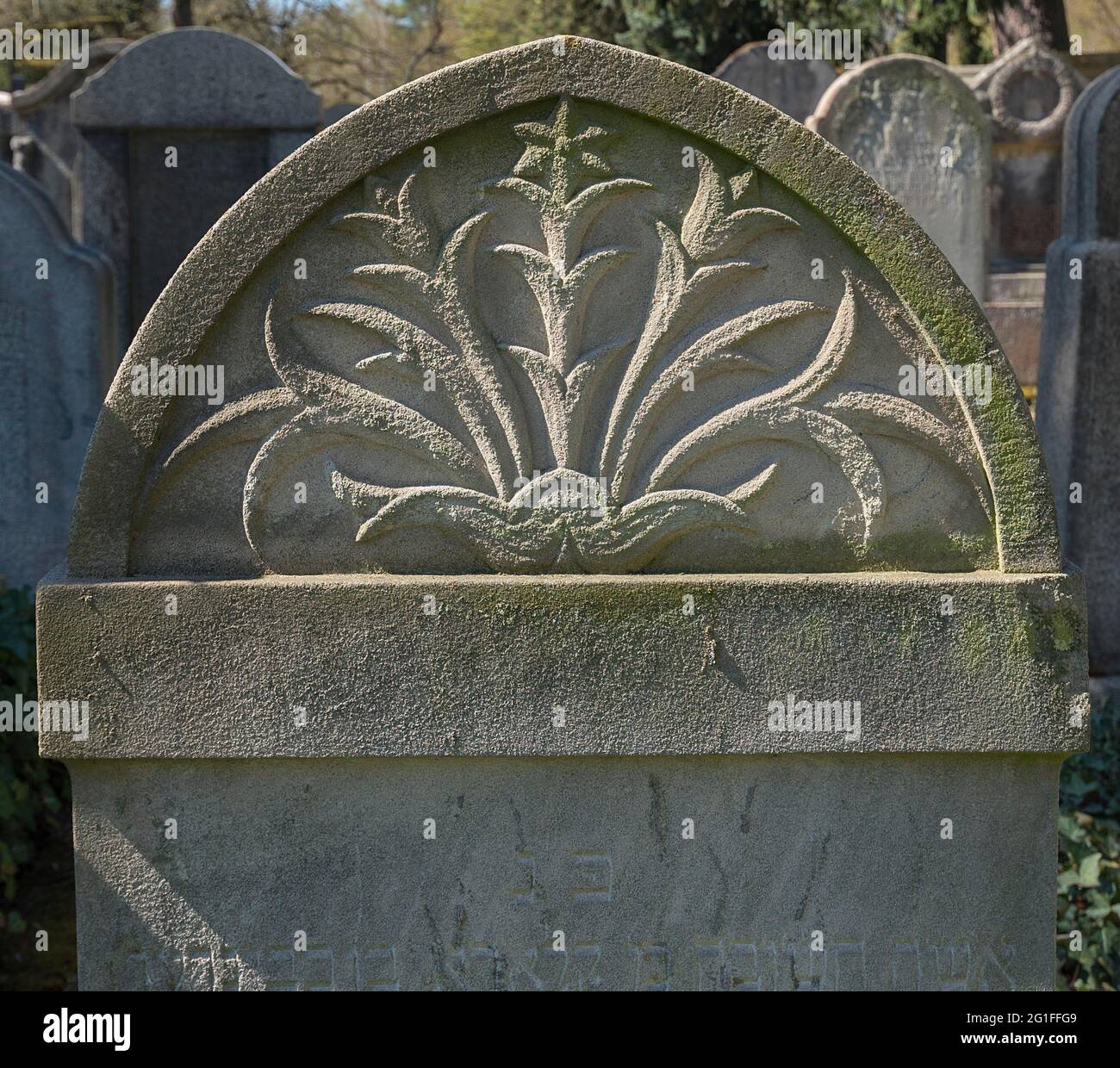 Lily relief on a Jewish gravestone, symbol of purity and innocence, New Jewish Cemetery, Nuremberg, Middle Franconia, Bavaria, Germany Stock Photo