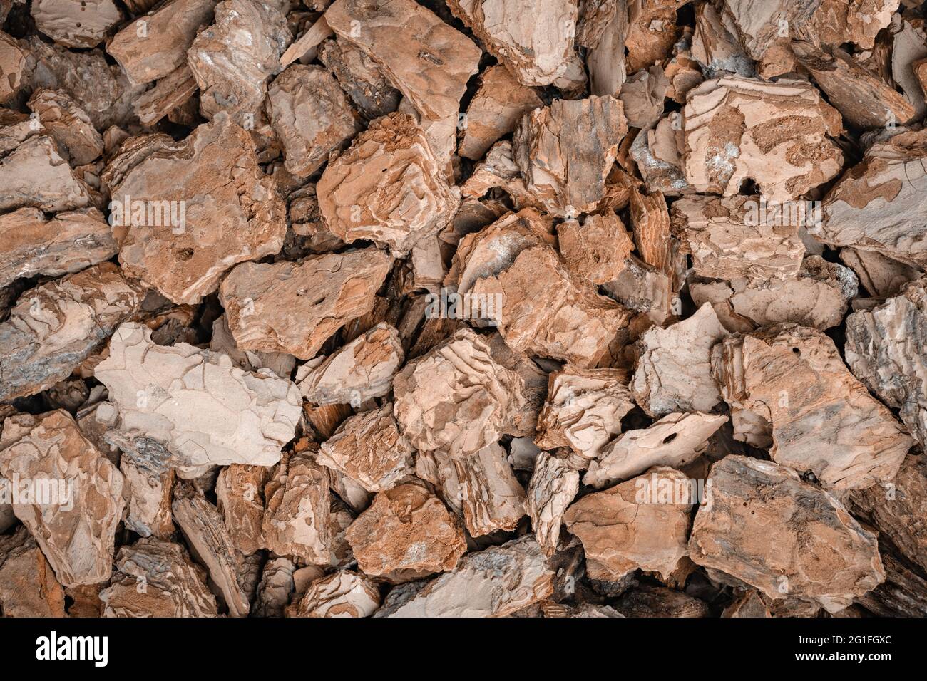 Background of pine bark nuggets layer used for gardening. Natural texture Stock Photo