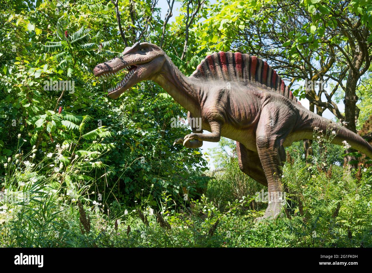 An Extinct Spinosaurus - Spinosaurus Aegyptiacus. Spinosaurus  is a genus of theropod dinosaur that lived in what now is North Africa, during the lowe Stock Photo