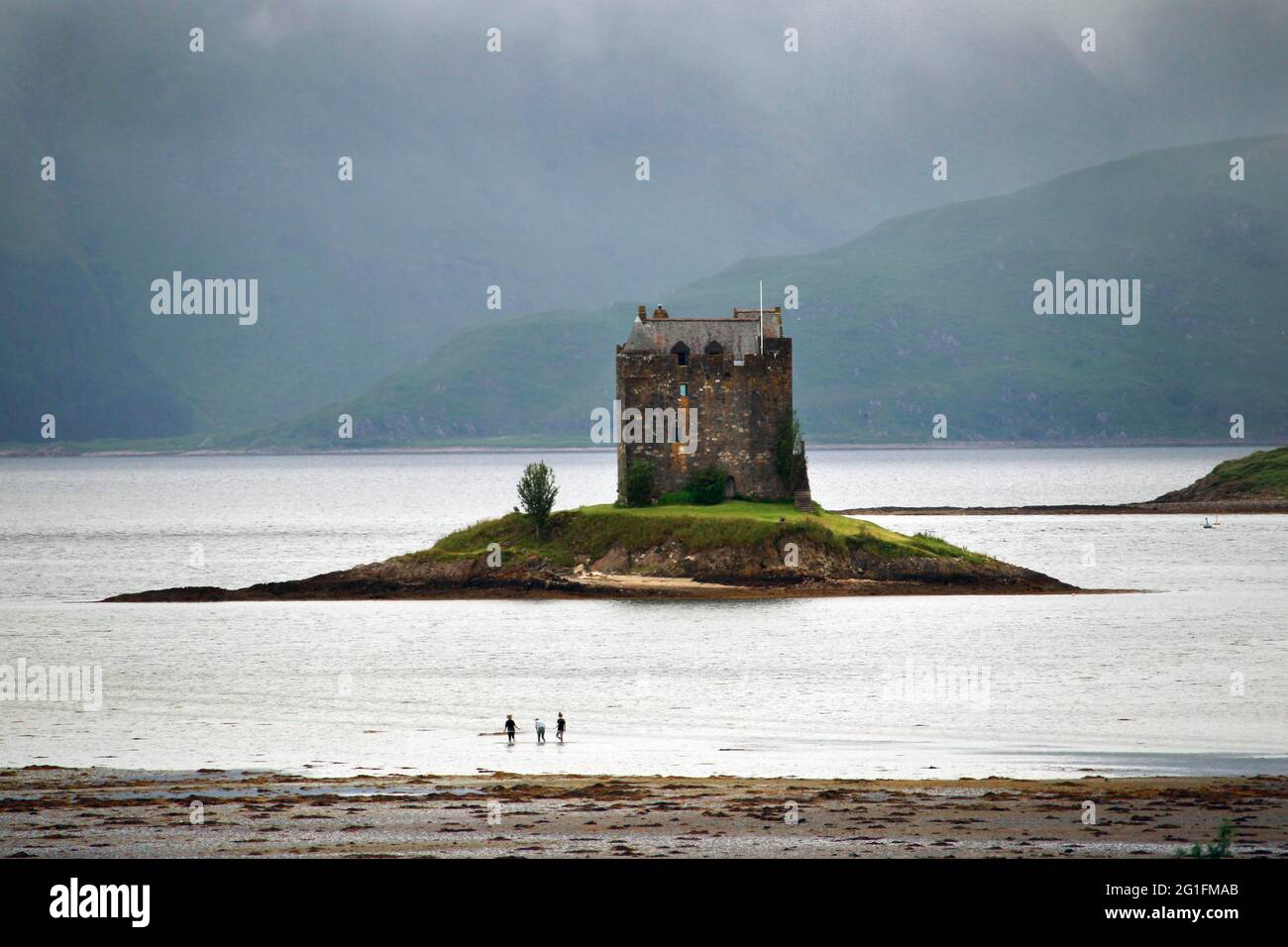Castle Stalker, castle ruin, Tower House, residential tower, loch, Loch Laich, island, Port Appin, Argyll and Bute, Highlands, Highland, Scotland Stock Photo