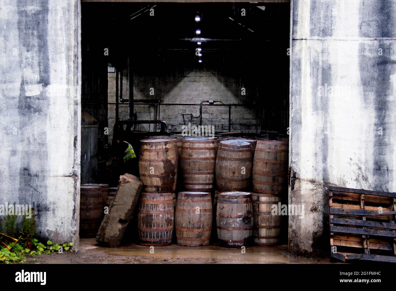 Speyside Cooperage, cooperage, casks, whisky casks, cask factory, cask warehouse, whisky trail, Craigellachie, Banffshire, Highlands, Highland Stock Photo