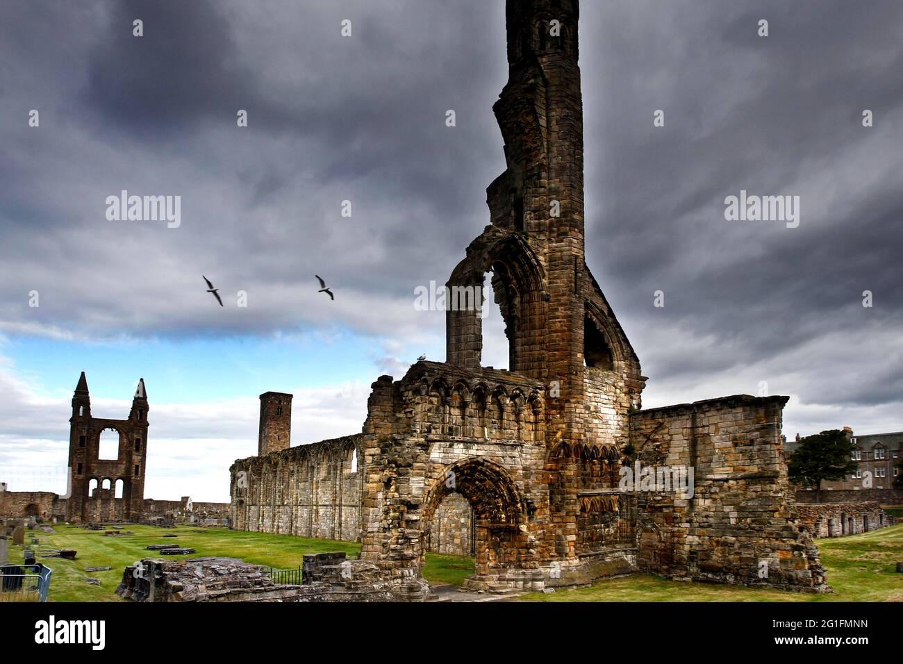 St Andrews Cathedral, Ruined Cathedral, St Andrews, Fife, Midlands, Central Scotland, Scotland, United Kingdom Stock Photo