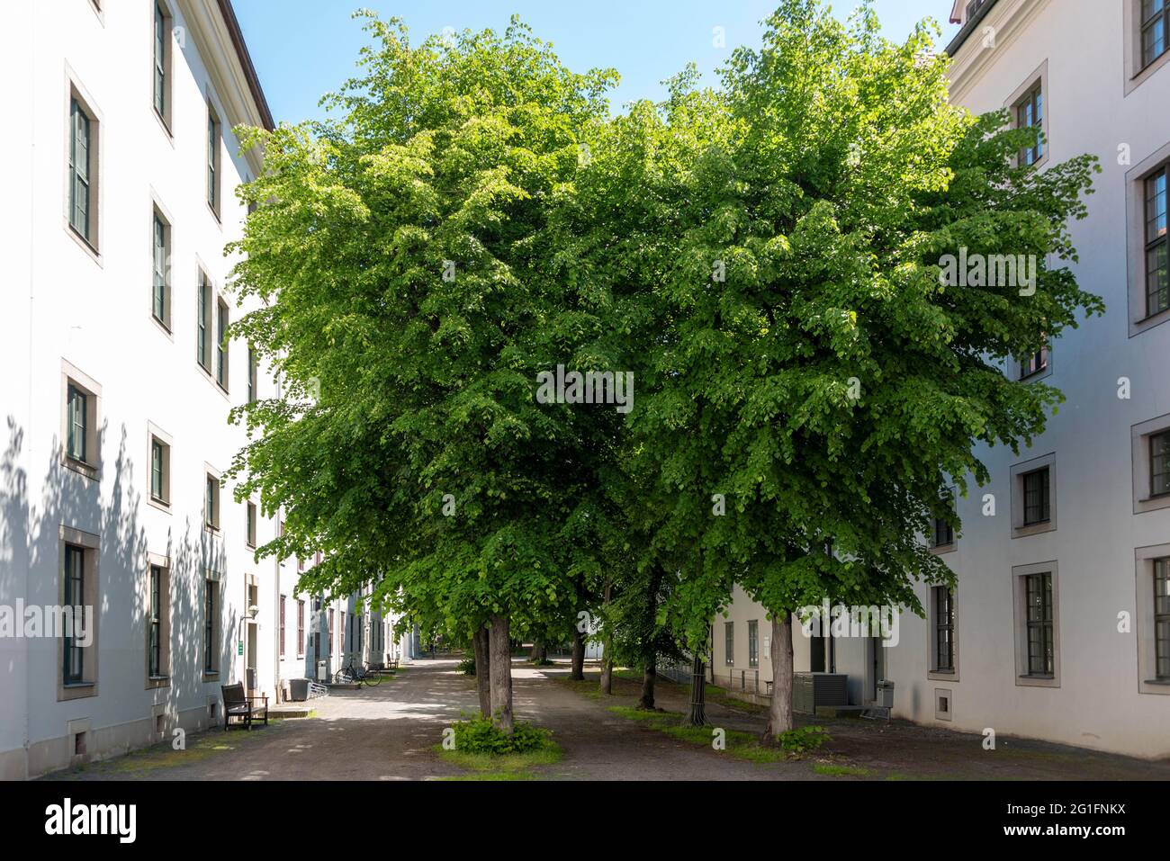 Francke Foundations, founded by August Hermann Francke, 1663, 1727, German Protestant theologian, educator and hymn writer, one of the main Stock Photo