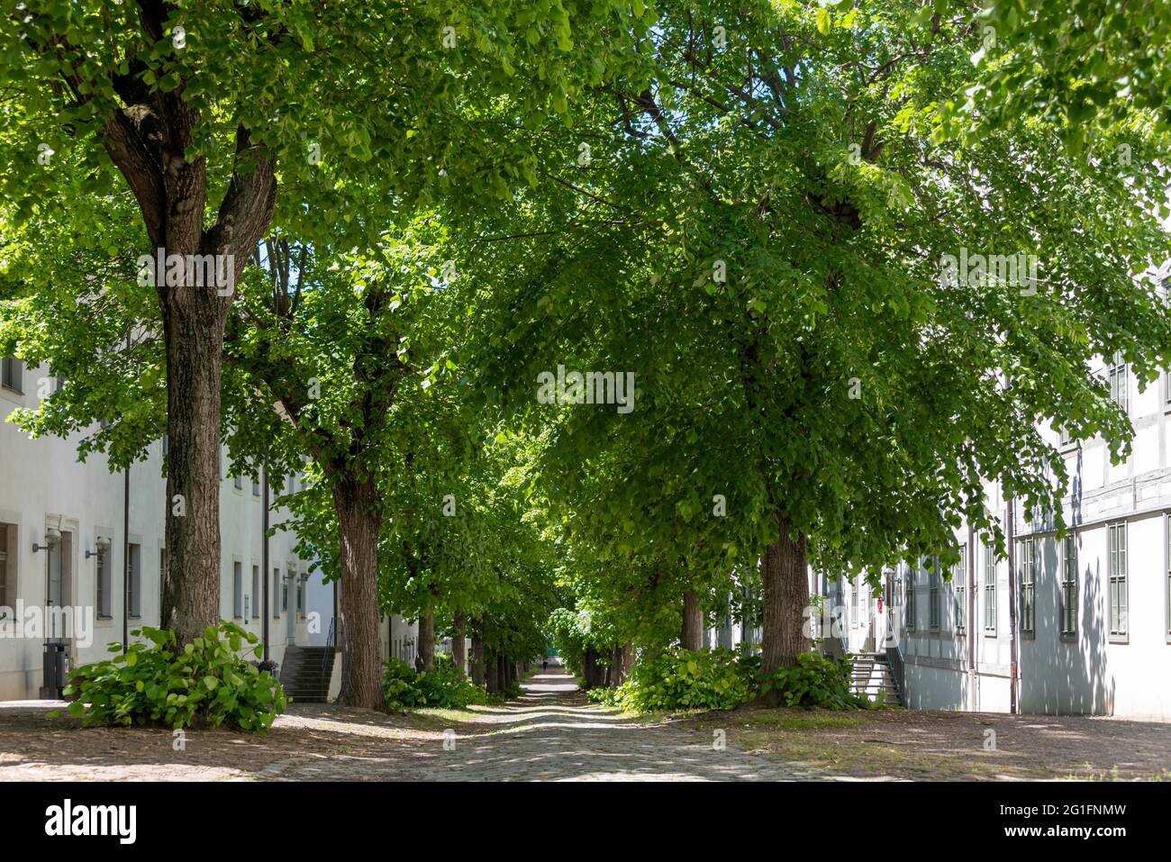 Francke Foundations, founded by August Hermann Francke, 1663, 1727, German Protestant theologian, educator and hymn writer, one of the main Stock Photo