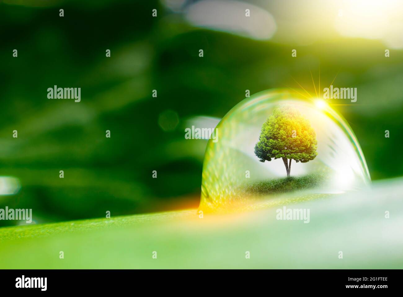 3D illustration Renewable energy concept Earth Day or environmental ...