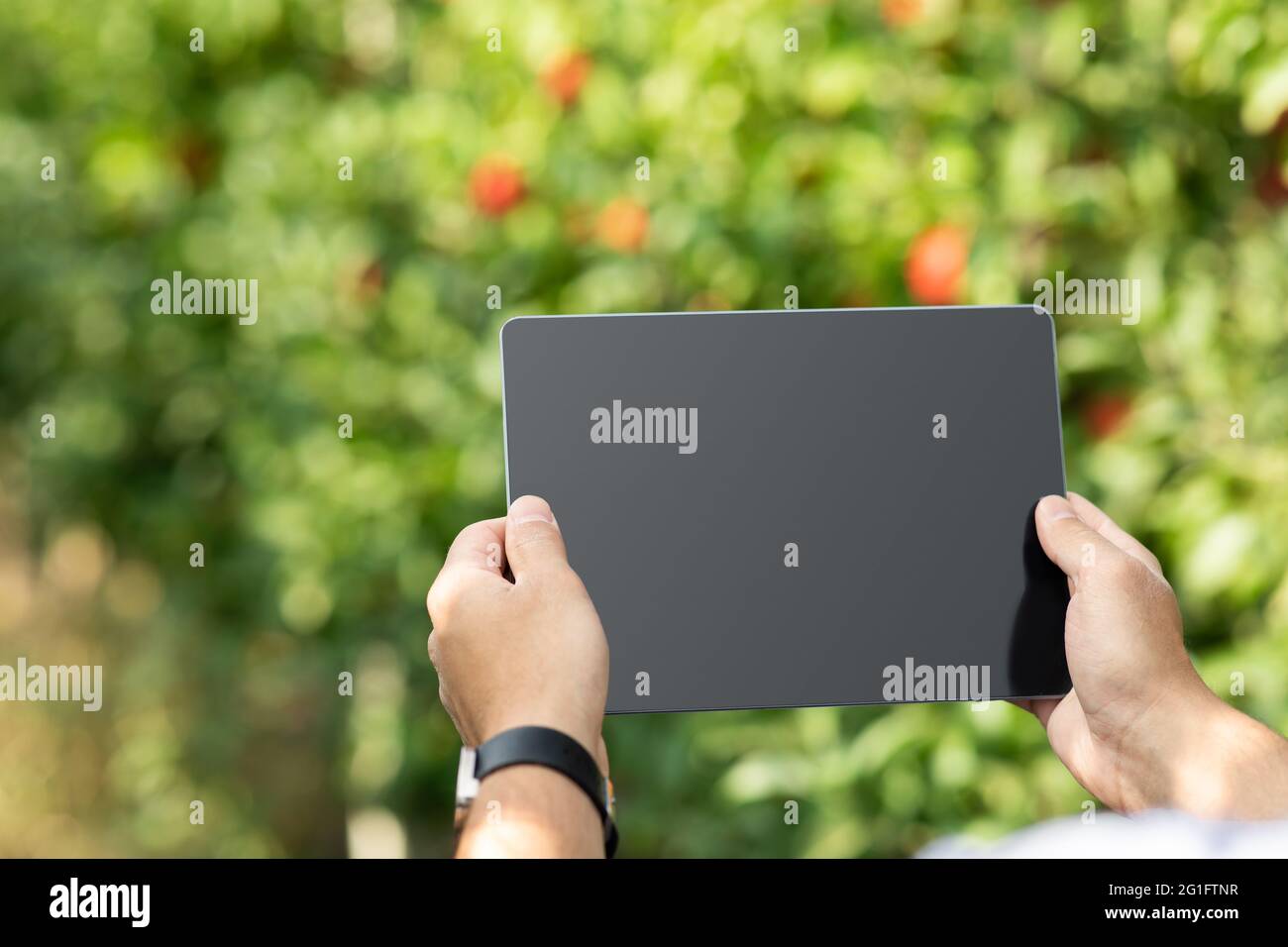 Eco blog, modern business with gadget, farm management Stock Photo