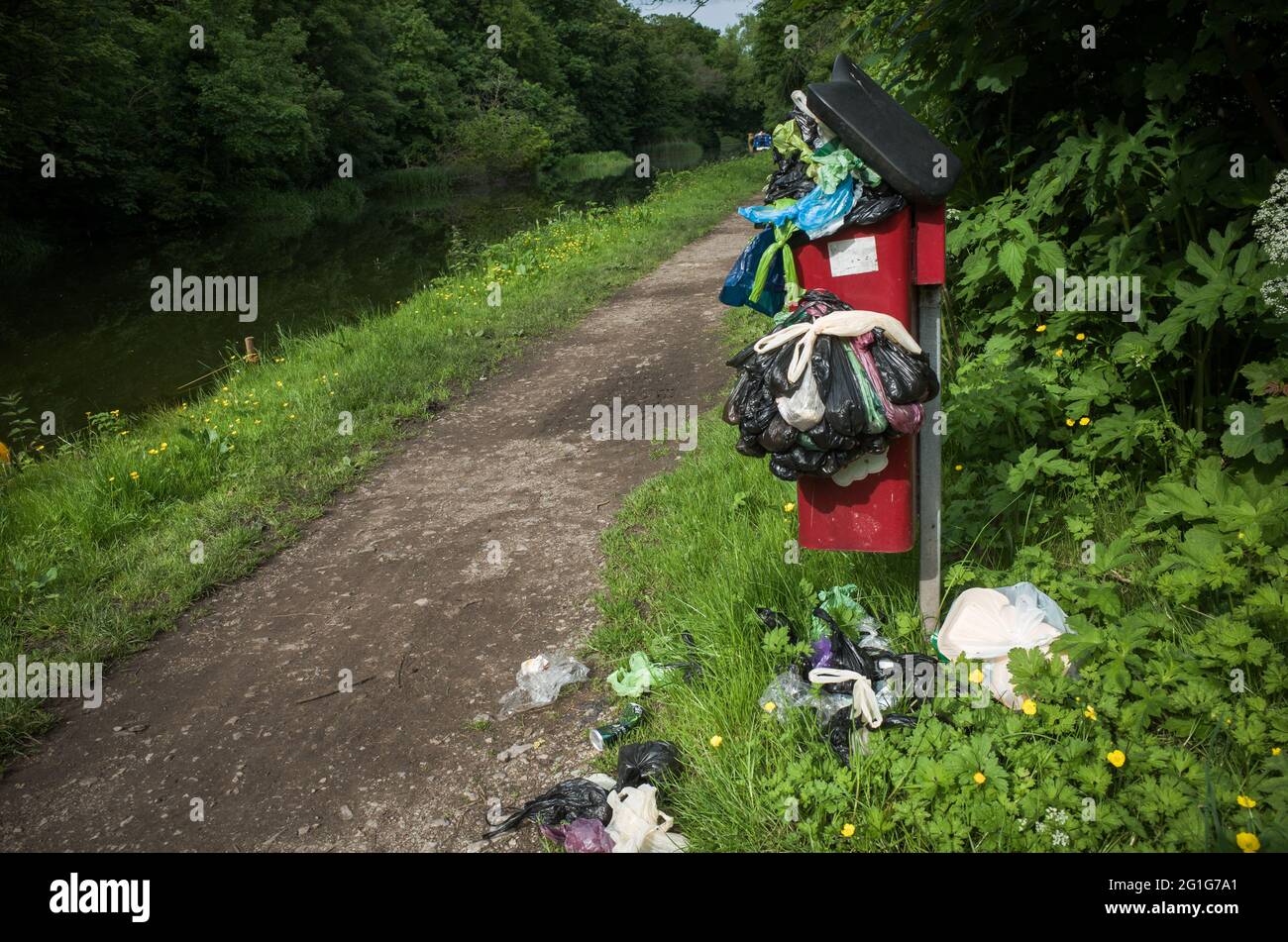 Overflowing dog poo bin with hanging and discarded bags along the canal path ai Barnton, Northwich, Cheshire. Stock Photo